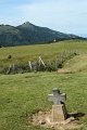 (206) Col d'Aphanize